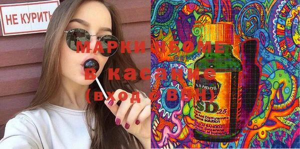прущие грибы Абинск