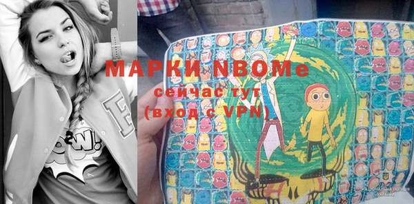 прущие грибы Абинск