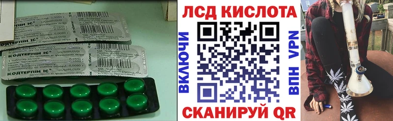где найти наркотики  Шенкурск  ссылка на мегу онион  LSD-25 экстази ecstasy 