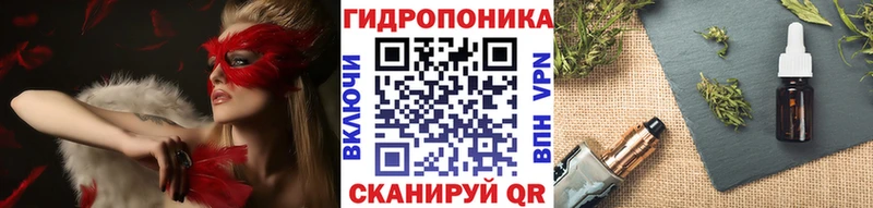 купить   Шенкурск  Бошки марихуана SATIVA & INDICA 